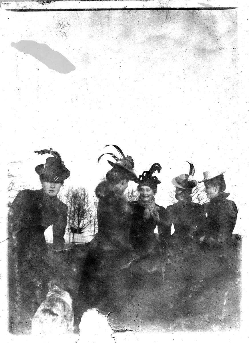 Gruppebilde, kvinner 1900.
Bilde er fra fotoalbum GM.036887.