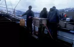 3 menn på dekk ombord en båt, ser ut til at de jobber med å 