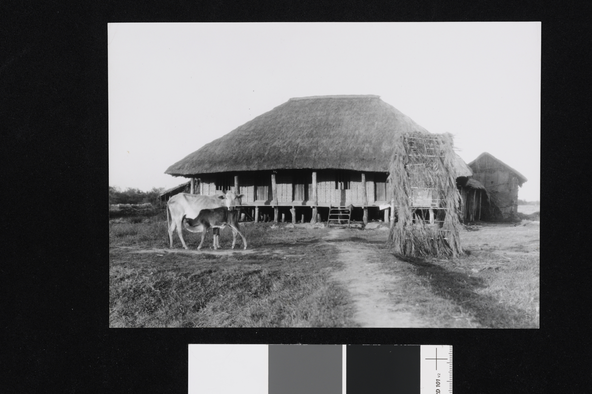Huset til undervisningsministeren. Fotografi tatt i forbindelse med Elisabeth Meyers reise til India 1932-33.
