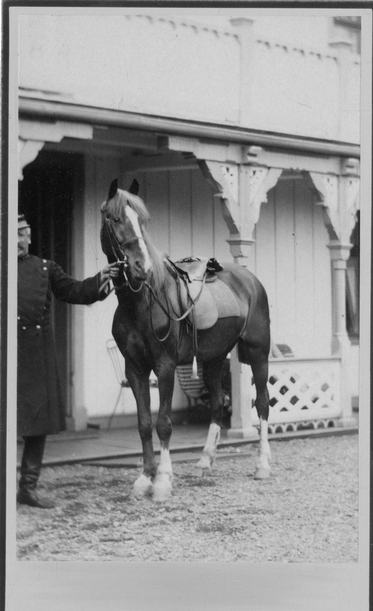 Foto av mann i uniform ved siden av hest. Foto er tatt på Dal gård på slutten av 1870-tallet eller tidlig 1880-tallet