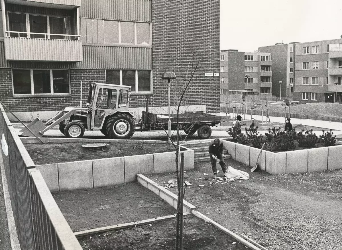 En parkarbetare städar vid Ålgatan i Fisksätra. Foto 1973. Fisksätra lokalhistoriska arkiv.  