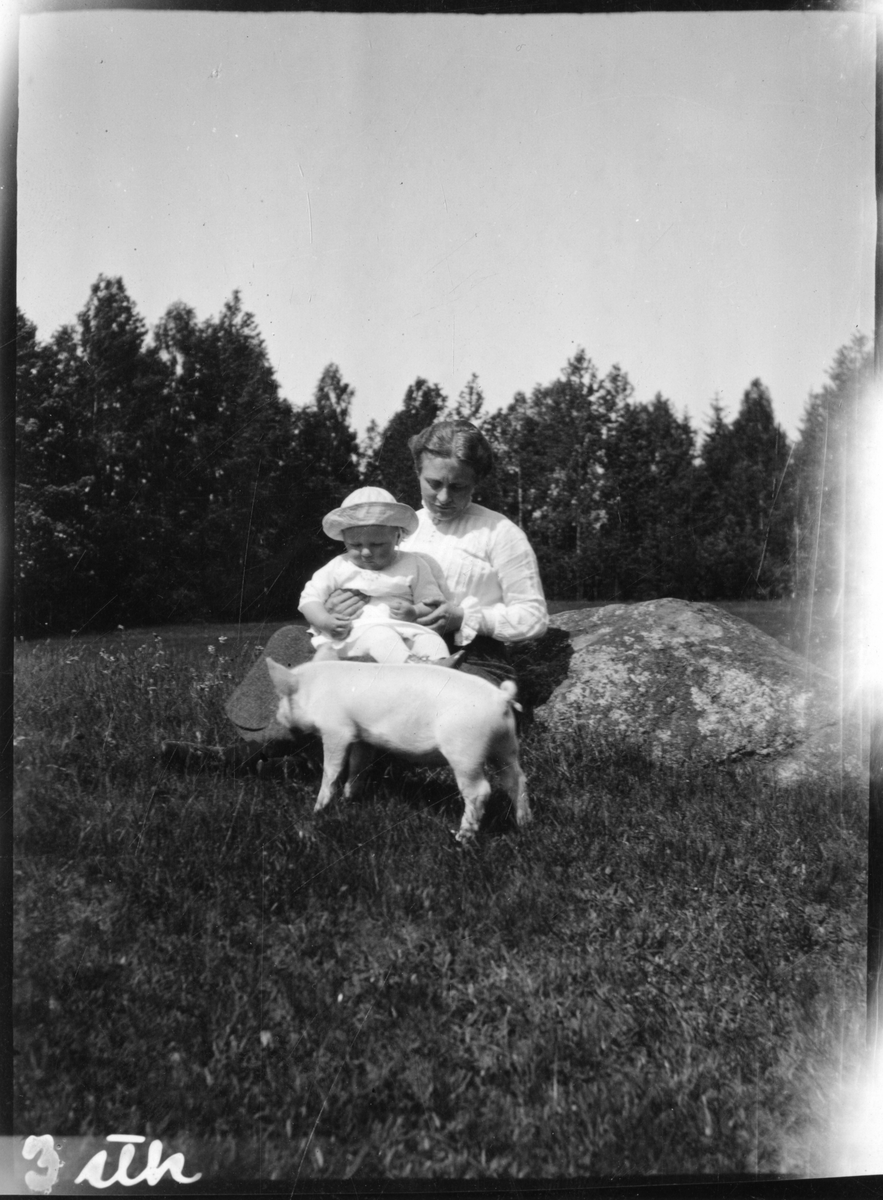 Foto av kvinne med barn og en grisunge i 1913