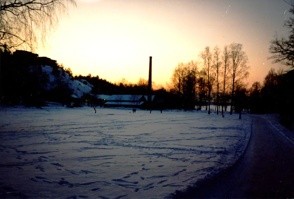 Vinterviken i solnedgång 1994.