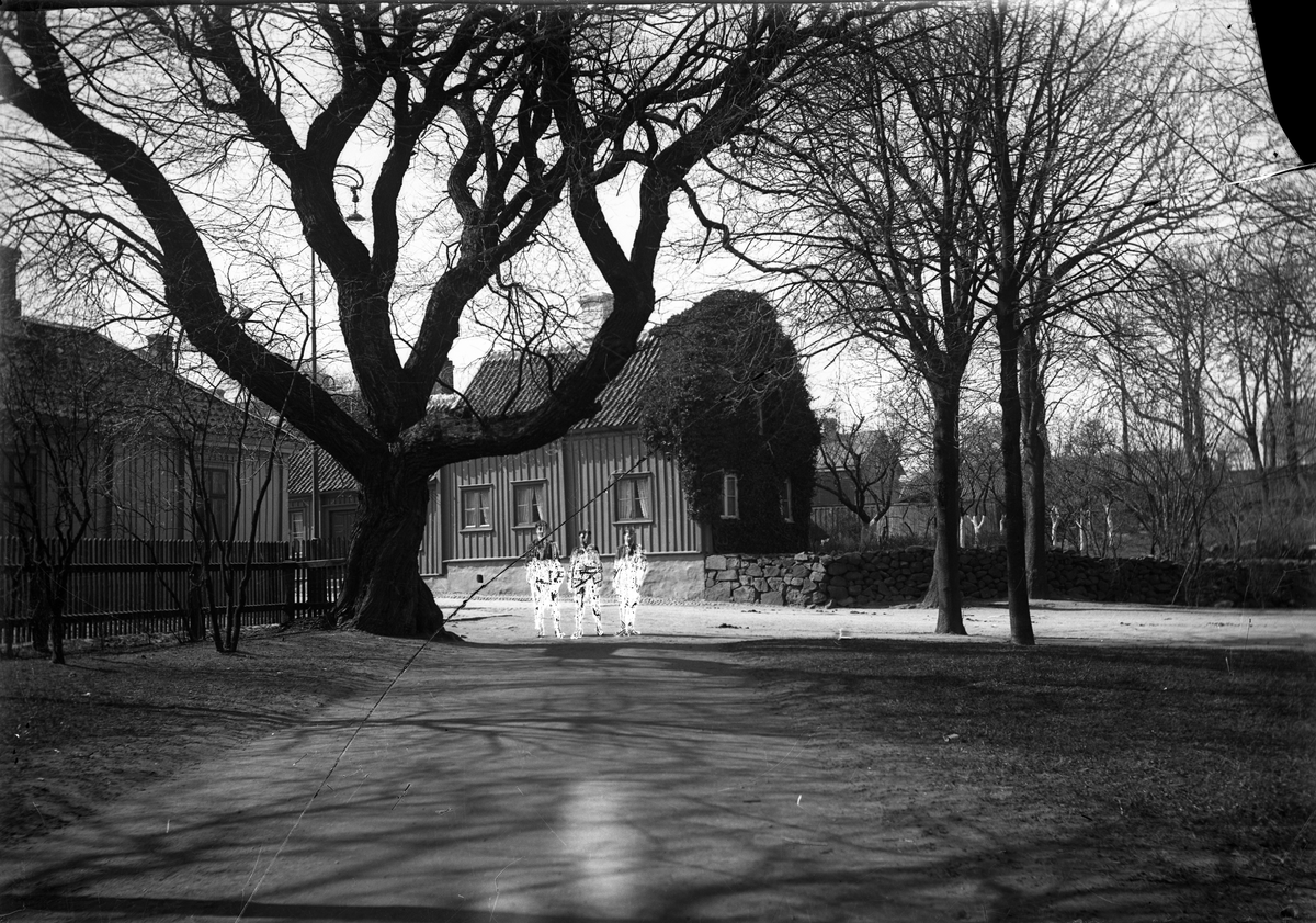 Exteriörbild av det s k Murgrönehuset på Drottninggatan i Varberg, sett från parken med ett knotigt träd i förgrunden. Vid detta står tre personer som man försökt retuschera bort.