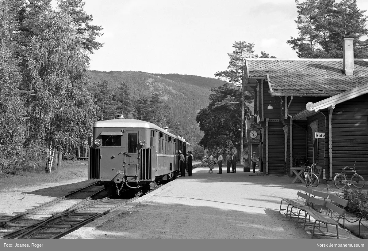 Motorvogntog fra Grovane har ankommet Byglandsfjord stasjon.