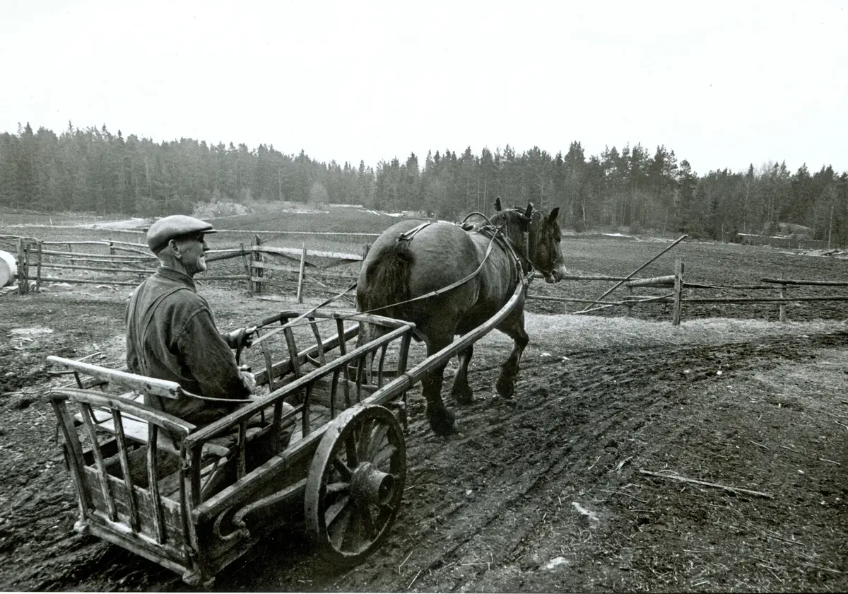Johan Anton Haldor Karlsson *1908-09-28 †1985-04-02 
Mjölk transporteras från gården till mjölkpallen vid vägen.
Bilden tagen i samband med en artikel i Uppsala Nya Tidning 1971-04-22.