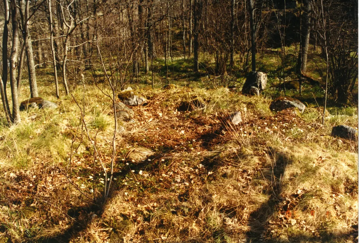 Vy över vikingagravarna vid Malma gravfält, bakom Ekbacken
Tre bilder från samma plats, 40129, 40130 och 40131.