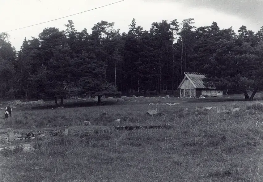 Gunnes gård i Upplands-Väsby rekonstruerat järnåldershus av Länsmuseibyrån och Upplands-Väsby kommun.