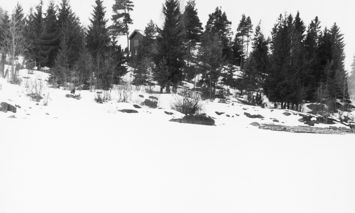 Vinterlandskap ved innsjøen Øyeren i Akershus, like sør for Nordby Bruk i Rælingen kommune.  Fotografiet er tatt fra den snødekte isflata.  I strandsonen til høyre skimter vi en del tømmer som later til å ha vært florlagt i strandsonen, som som fra og med 1955 var en leveringsmåte Glomma fellesfløtingsforening ikke lenger aksepterte.  Terrenget inne på land var kupert med en del trær, fortrinnsvis gran.  På en haug i bakgrunnen skimtes gavlen på et hus, antakelig ei koie eller hytte.