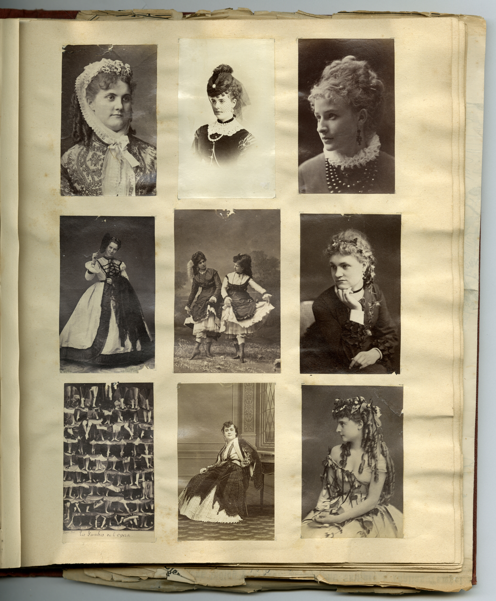 Scrapbooken inneholder foto av Faye familien på Dal gård i Ullensaker, samt diverse masseproduserte foto av datidens kjendiser og kongelige, blant annet dronning viktoria og hennes barn. Boken inneholder også postkort, utklipp av foto, karikaturtegninger og kollasjer