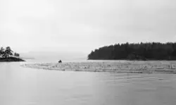 Fra Hurdalssjøen i Akershus våren 1939. Fotografiet er tatt 