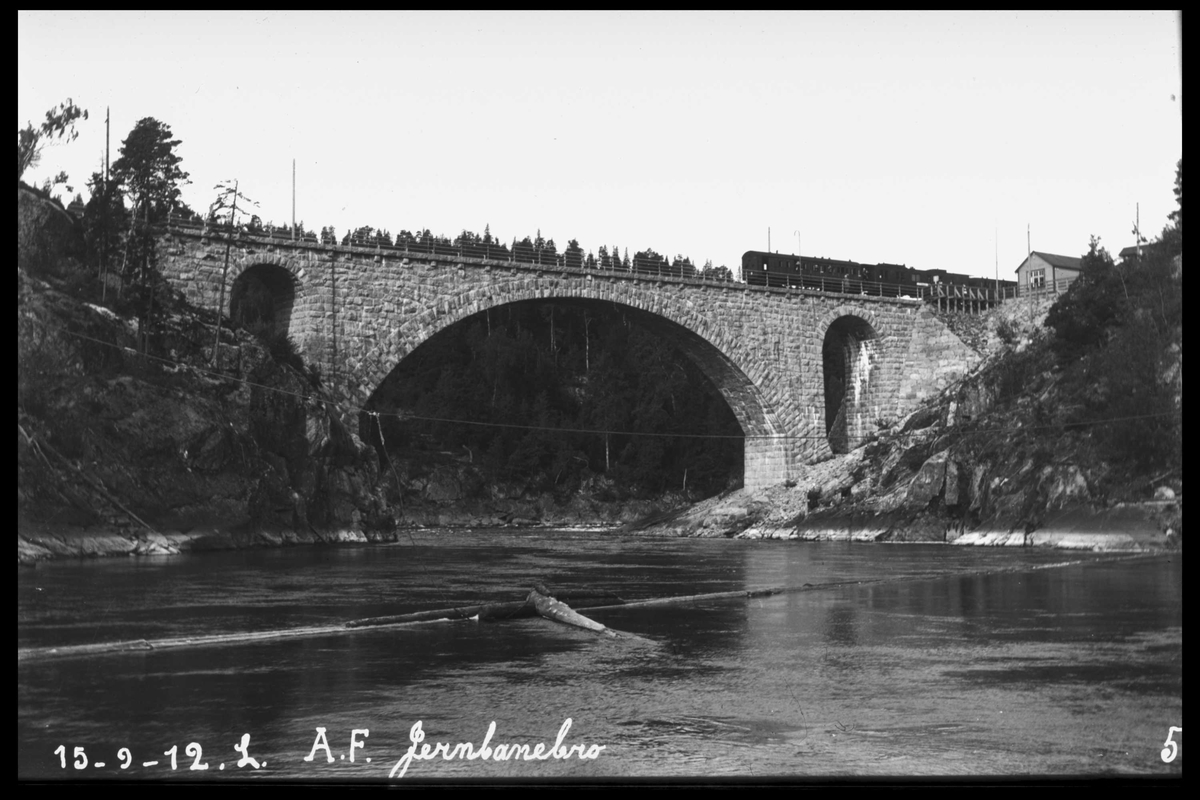 Arendal Fossekompani i begynnelsen av 1900-tallet
CD merket 0469, Bilde: 45
Sted: Bøylefoss
Beskrivelse: Brua og tog på stasjonen