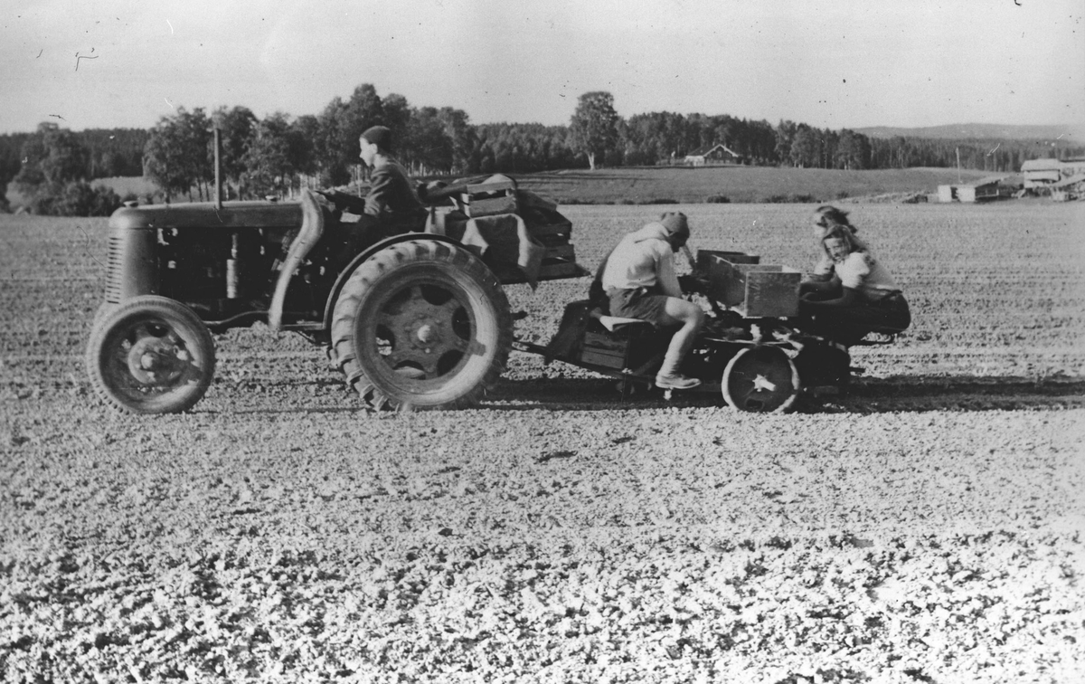 Motorisert potetsetting på Kjærnsmo gård