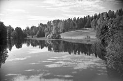 Kulturlandskap ved vann.