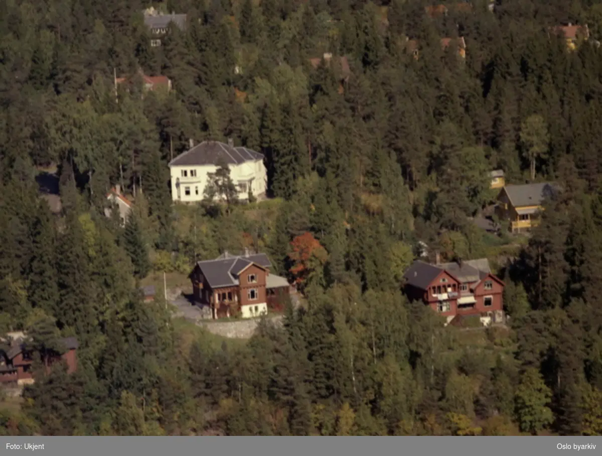Villaer Stjerneveien 1 (hvitt hus), Gråkamveien mot venstre: 21, 22, 24 og 30. (Flyfoto)