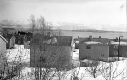 Svenskebyen etablert i 1941.
