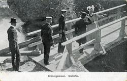 Fra Kroningsreisen i 1906..Ved Slettafossen.