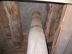 Prestegårdkverna på Nesset prestegård. .Bilde tatt i forbind