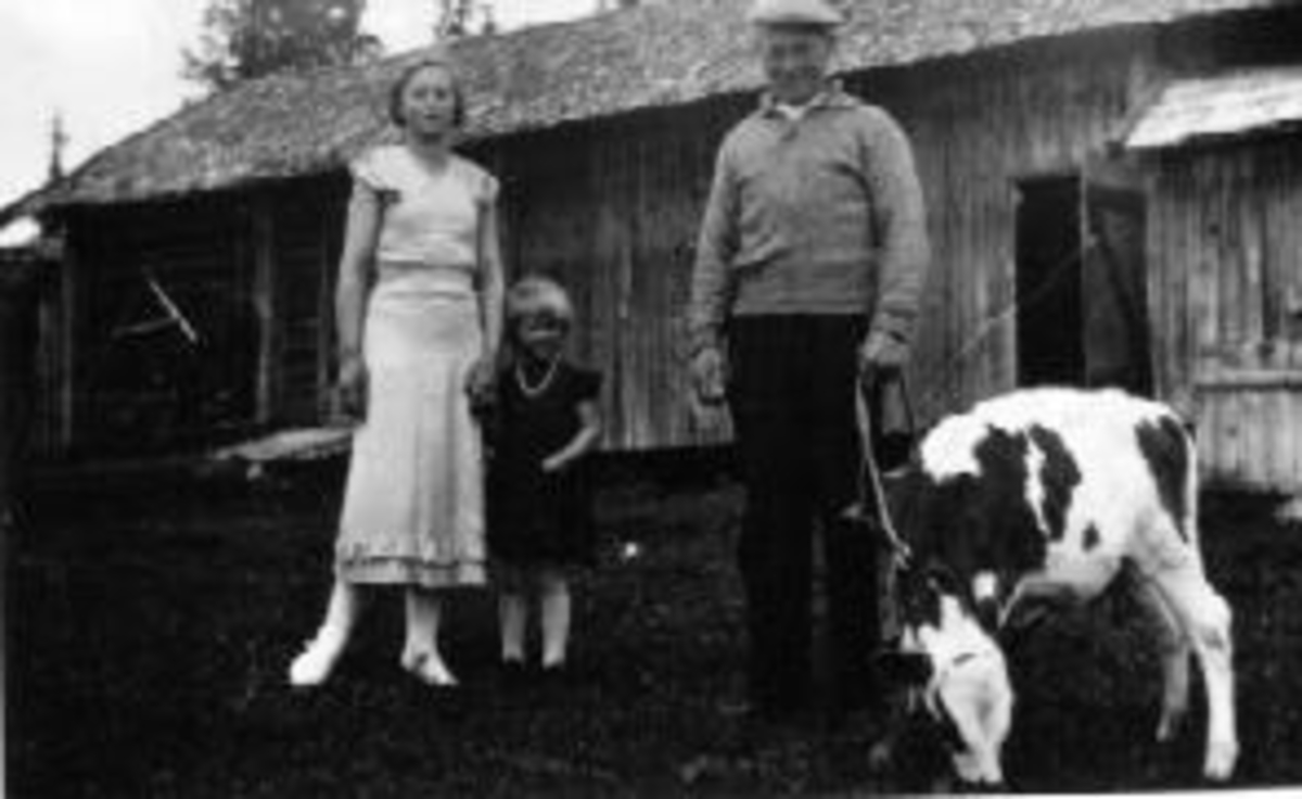 Eksteriør, uthus. Passer, utedo. Borghild Narud (født Hatterud), Anne Hatterud, Alfred Hatterud med kalv i bånd. Tranbybakken, Veldre, Ringsaker.