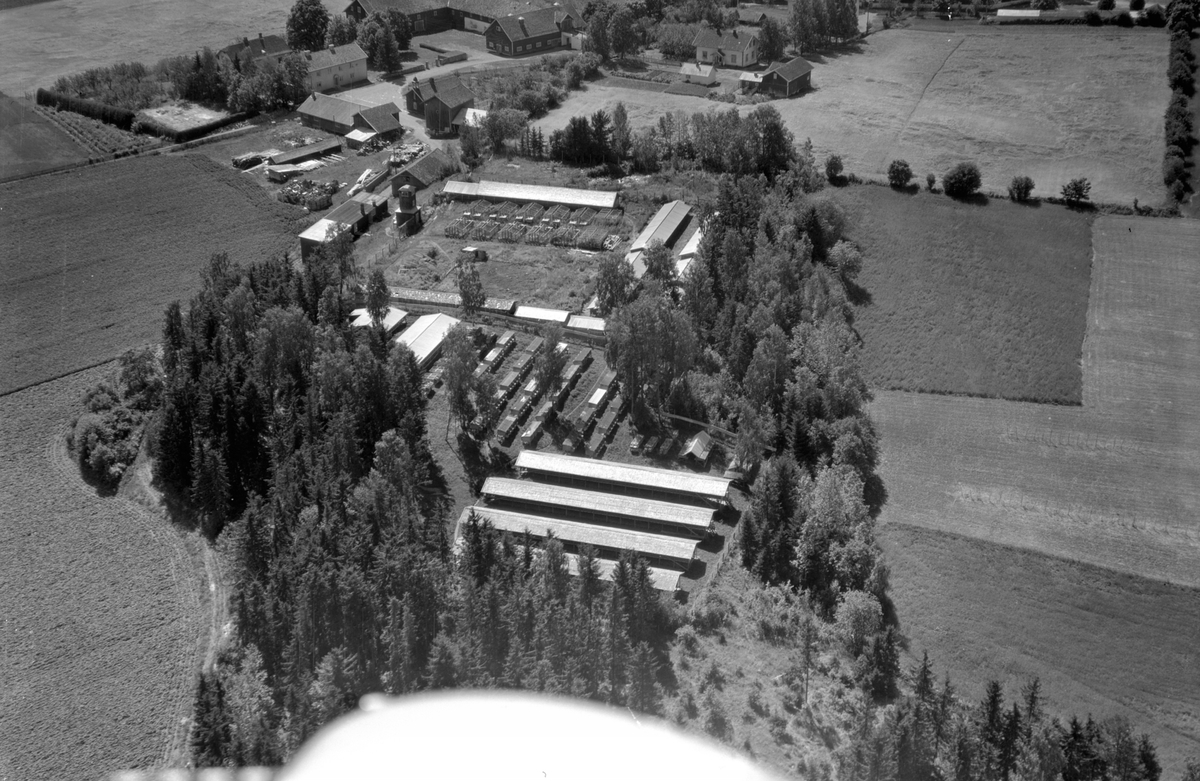 Flyfoto av Deglum store, Furnes, Ringsaker. Pelsdyrfarm.