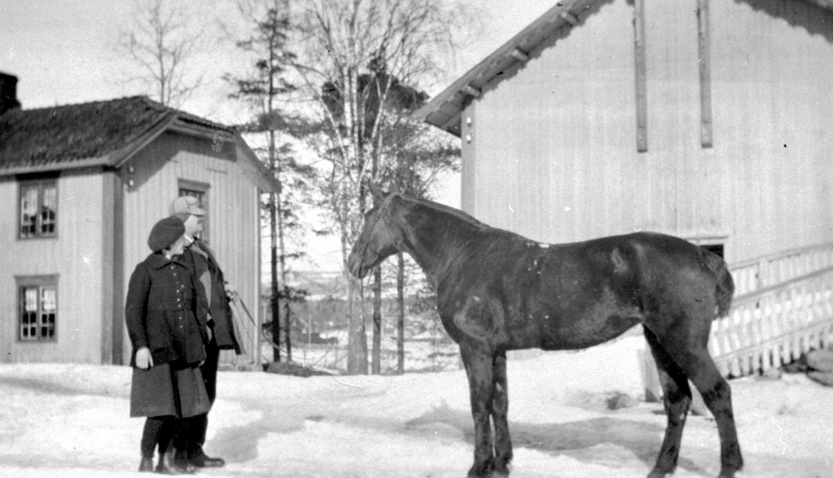 Lily og Thore Bjerke med hesten "Miss" på Nerkvern gård, Brumunddal. Vinter.