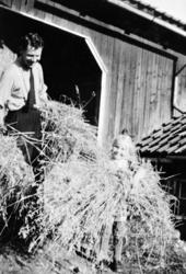 Olav og Magnhild O. Wangen, skuronn, Veståsen, 1946.