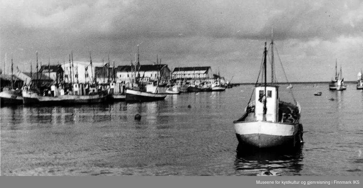 Fiskebrukene på vestsida av vågen i Berlevåg er gjenoppbygd etter brenninga 1944. Fra venstre: Fiskersamvirkelaget og Fjærtoft. Fotoet er merket: "Våren 1951".
