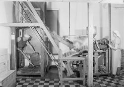 Trønderfrukt på Røra