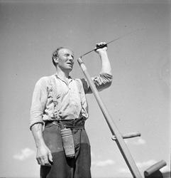 Kristian Dahl, dreng på Aune i Klæbu