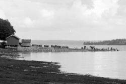 Nes brygge, Tignes, Hedmark. Utsnitt av HHB-14034, Folk, hes