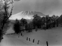 Vinterlandskap med vei og trær ved Gaustatoppen.