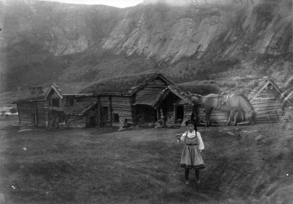 Setesdal farmstead – Norsk Folkemuseum