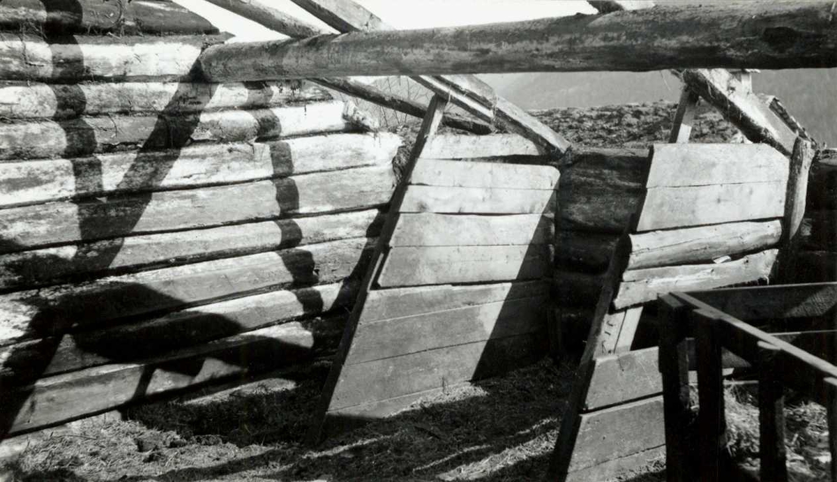 Foto av fjøset, forbindelse med nedrivingen av fjøset og løa fra Skomedal, som senere er blitt satt opp på Norsk Folkemuseum i Setesdalstunet.