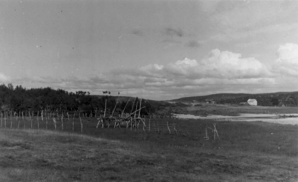 Slåttland ved elven på A. Mikkelsen Kemis gård. I bakgrunnen Anders Mikkel Bongos gård. Hemmugiedde 1953.