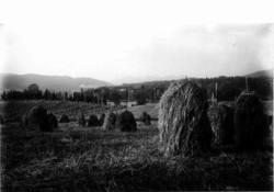Bogstad gård ca. 1923. Hovedbygningen med parken i bakgrunne