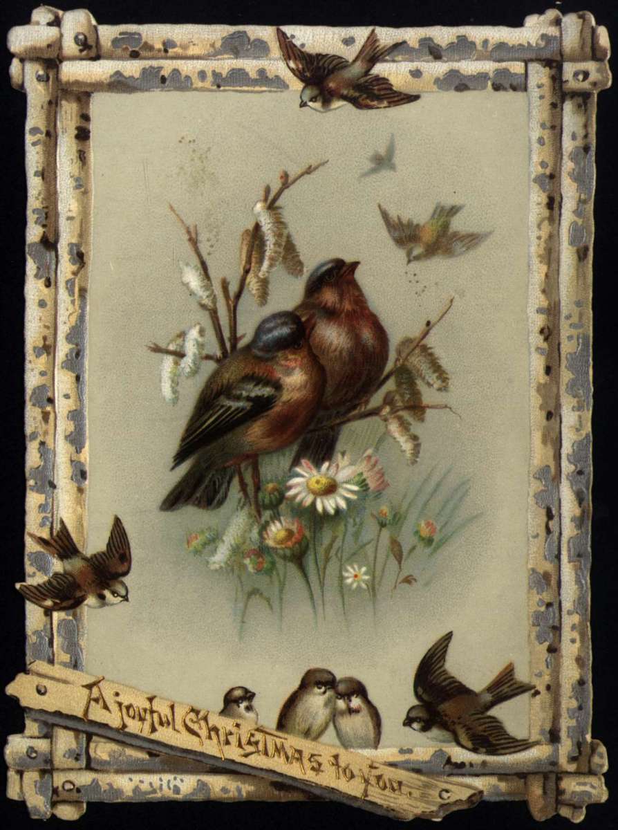 Julekort.  Innrammet bilde av fugler i flukt og i blomsterdekorasjon. Dateret 1891.