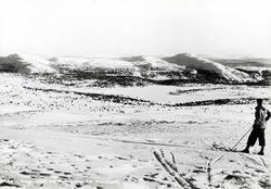 Avfotografert postkort. Utsikt ved Prestkampen mot Kiliknapp