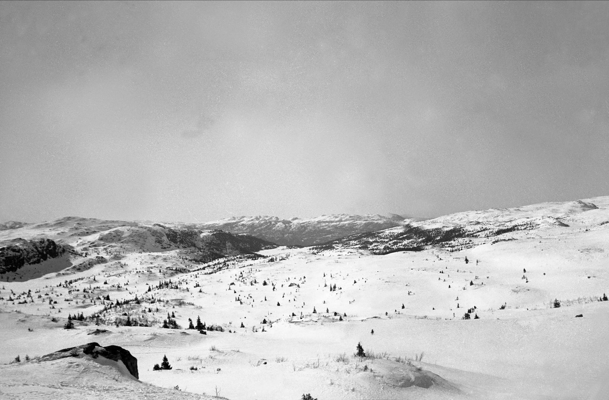 Vinter i Norefjell, sett fra vest. Fotografert påsken 1940.
