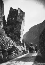 Veiparti nær Låtefoss ved Odda i Hardanger. Hest og kjerre o