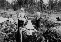 Barn sitter i krattskogen ved Digerud, Frogn, Akershus, mai 