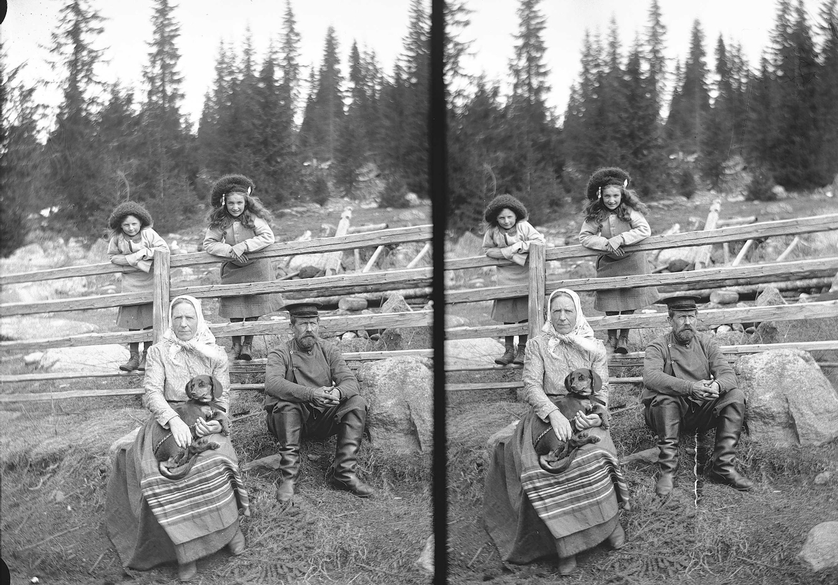 Karen og Gudrun Q. Wiborg, Gulbrand og Lisa med hund ved gjerde på Holoa seter, Hadeland, Jevnaker, Oppland, april 1906.