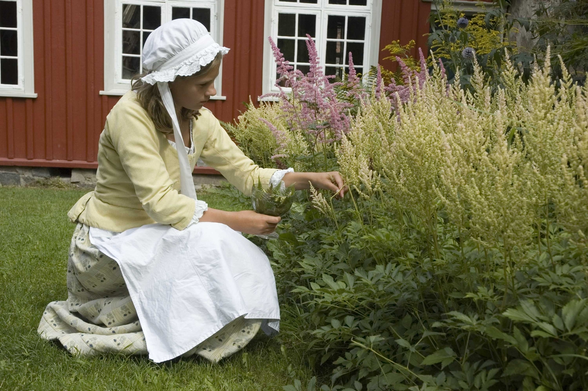 Levendegjøring på museum.
Ferieskolen uke 31. Jente som plukker blomster.
Norsk Folkemuseum, Bygdøy.