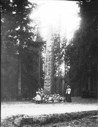 Tre kvinner og hund ved bautastein på Midtstuen i Oslo. To k