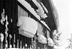 Ringkollen, desember 1959, hjemme hos Trygve Brodahl, vinter