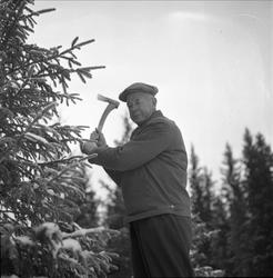 Skiforeningens løypeleggere i arbeid i Oslomarka, desember, 