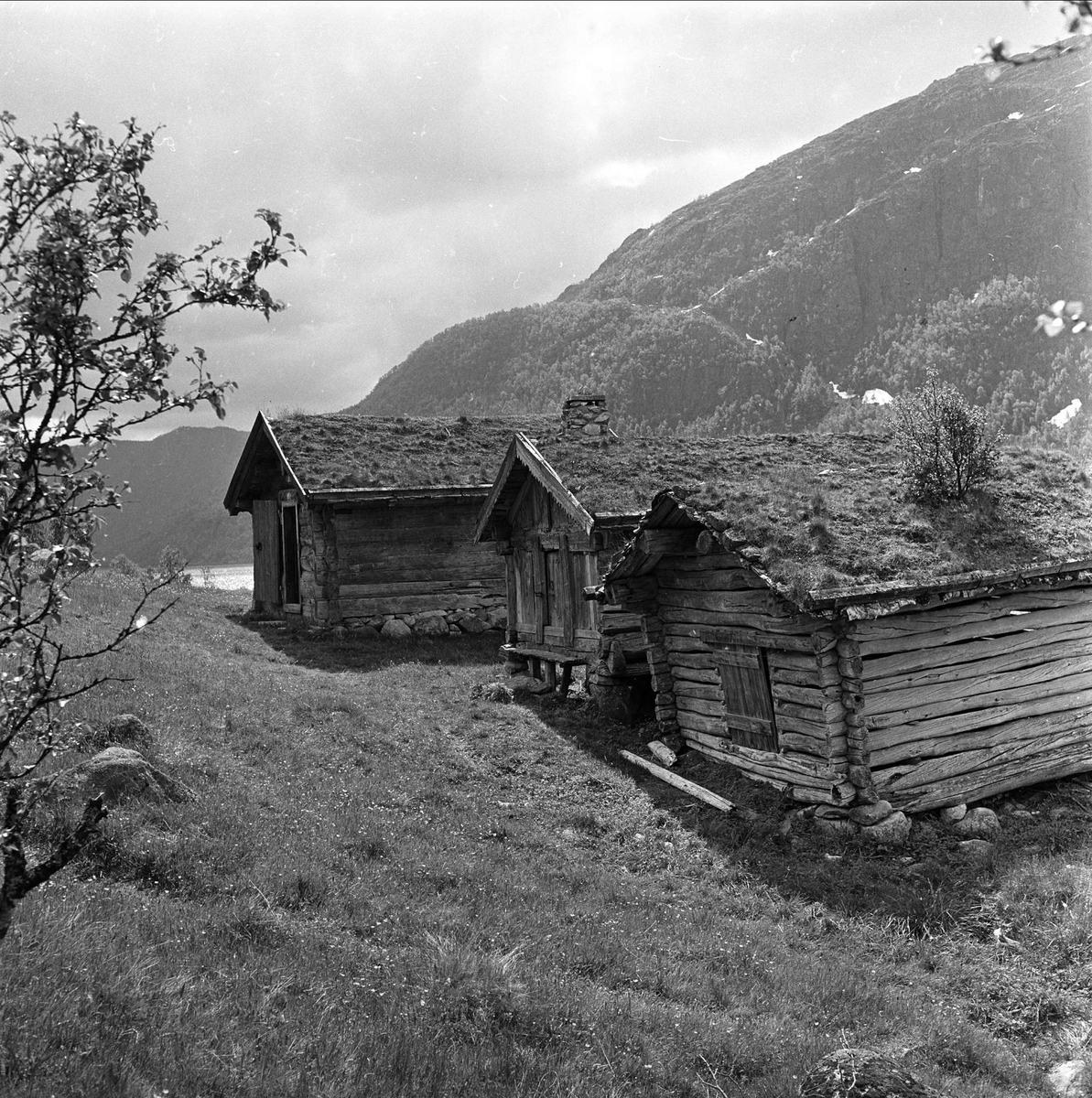Rauland, Telemark, juli 1962. Landskap og gårdstun.