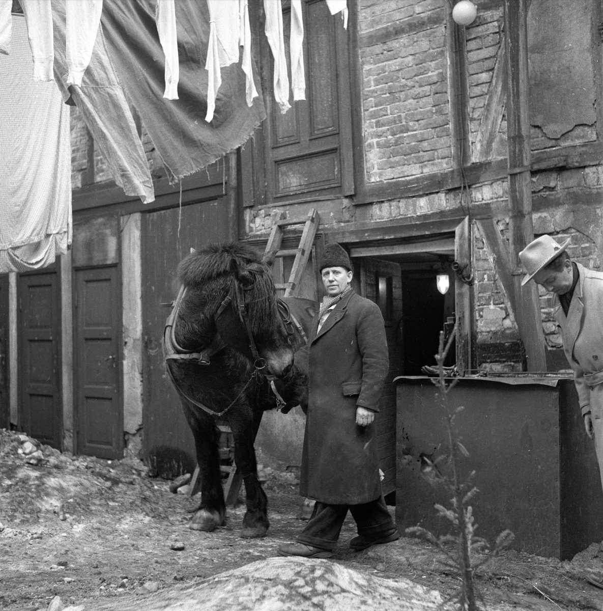 Vaterland, Oslo, 07.03.1956. Mann med hest i bakgård med bindingsverkshus og klesvask.