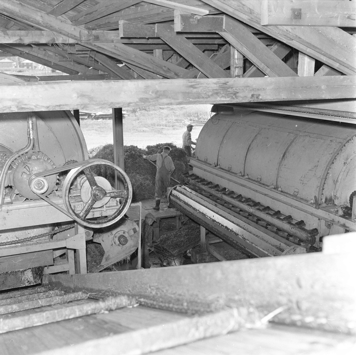 Brumunddal, august 1958, Nora Fabrikker,  produksjon, innhøsting og konservering.
