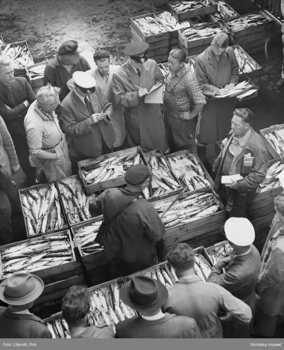 Fiskförsäljning, Göteborgs fiskhamn