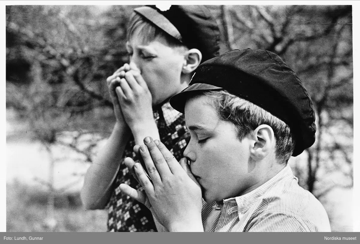 Sommarlek, två pojkar blåser med stor koncentration på grässtrån, Skansen i Stockholm 1935. 